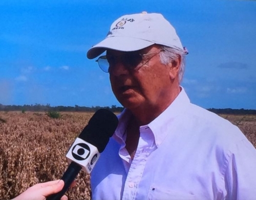 Noticia projecao-de-aumento-de-racao-de-farelo-de-soja